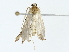  ( - BIOUG77727-B12)  @11 [ ] CreativeCommons - Attribution (2022) CBG Photography Group Centre for Biodiversity Genomics