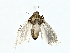  ( - BIOUG85263-A03)  @11 [ ] CreativeCommons - Attribution (2022) CBG Photography Group Centre for Biodiversity Genomics