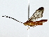  ( - BIOUG85263-F12)  @11 [ ] CreativeCommons - Attribution (2022) CBG Photography Group Centre for Biodiversity Genomics