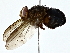  ( - BIOUG85265-B06)  @11 [ ] CreativeCommons - Attribution (2022) CBG Photography Group Centre for Biodiversity Genomics