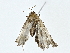  ( - BIOUG85265-D11)  @11 [ ] CreativeCommons - Attribution (2022) CBG Photography Group Centre for Biodiversity Genomics