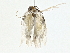  ( - BIOUG85265-E02)  @11 [ ] CreativeCommons - Attribution (2022) CBG Photography Group Centre for Biodiversity Genomics