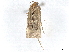  ( - BIOUG85265-E03)  @11 [ ] CreativeCommons - Attribution (2022) CBG Photography Group Centre for Biodiversity Genomics