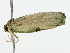  ( - BIOUG85266-C02)  @11 [ ] CreativeCommons - Attribution (2022) CBG Photography Group Centre for Biodiversity Genomics