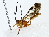  ( - BIOUG85267-D11)  @11 [ ] CreativeCommons - Attribution (2022) CBG Photography Group Centre for Biodiversity Genomics