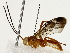  ( - BIOUG85267-E01)  @11 [ ] CreativeCommons - Attribution (2022) CBG Photography Group Centre for Biodiversity Genomics