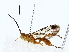  ( - BIOUG85268-B10)  @11 [ ] CreativeCommons - Attribution (2022) CBG Photography Group Centre for Biodiversity Genomics