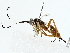  ( - BIOUG85296-C04)  @11 [ ] CreativeCommons - Attribution (2022) CBG Photography Group Centre for Biodiversity Genomics