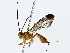  ( - BIOUG85297-B12)  @11 [ ] CreativeCommons - Attribution (2022) CBG Photography Group Centre for Biodiversity Genomics