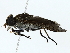  ( - BIOUG85298-B08)  @11 [ ] CreativeCommons - Attribution (2022) CBG Photography Group Centre for Biodiversity Genomics
