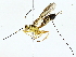  ( - BIOUG85298-D07)  @11 [ ] CreativeCommons - Attribution (2022) CBG Photography Group Centre for Biodiversity Genomics