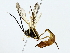  ( - BIOUG85298-D11)  @11 [ ] CreativeCommons - Attribution (2022) CBG Photography Group Centre for Biodiversity Genomics