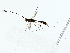  ( - BIOUG85298-F06)  @11 [ ] CreativeCommons - Attribution (2022) CBG Photography Group Centre for Biodiversity Genomics