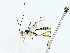  ( - BIOUG85299-B07)  @11 [ ] CreativeCommons - Attribution (2022) CBG Photography Group Centre for Biodiversity Genomics
