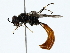  ( - BIOUG85299-C07)  @11 [ ] CreativeCommons - Attribution (2022) CBG Photography Group Centre for Biodiversity Genomics
