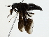  ( - BIOUG85299-E02)  @11 [ ] CreativeCommons - Attribution (2022) CBG Photography Group Centre for Biodiversity Genomics