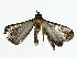  ( - BIOUG85300-A02)  @11 [ ] CreativeCommons - Attribution (2022) CBG Photography Group Centre for Biodiversity Genomics