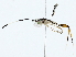  ( - BIOUG85300-C10)  @11 [ ] CreativeCommons - Attribution (2022) CBG Photography Group Centre for Biodiversity Genomics