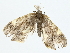  ( - BIOUG85301-E05)  @11 [ ] CreativeCommons - Attribution (2022) CBG Photography Group Centre for Biodiversity Genomics