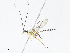  ( - CBG-A08773-E10)  @11 [ ] CreativeCommons - Attribution Share - Alike (2023) CBG Photography Group Centre for Biodiversity Genomics