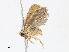  ( - CBG-A13217-B08)  @11 [ ] CreativeCommons - Attribution Share - Alike (2023) CBG Photography Group Centre for Biodiversity Genomics