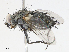  ( - CBG-A13218-F04)  @11 [ ] CreativeCommons - Attribution Share - Alike (2023) CBG Photography Group Centre for Biodiversity Genomics