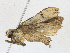  ( - CBG-A21612-B07)  @11 [ ] CreativeCommons - Attribution Share-Alike (2023) CBG Photography Group Centre for Biodiversity Genomics