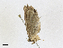  ( - CBG-A21612-C07)  @11 [ ] CreativeCommons - Attribution Share-Alike (2023) CBG Photography Group Centre for Biodiversity Genomics