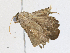  ( - CBG-A21613-A03)  @11 [ ] CreativeCommons - Attribution Share-Alike (2023) CBG Photography Group Centre for Biodiversity Genomics