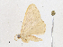  ( - CBG-A21613-C05)  @11 [ ] CreativeCommons - Attribution Share-Alike (2023) CBG Photography Group Centre for Biodiversity Genomics