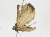  ( - CBG-A21613-D07)  @11 [ ] CreativeCommons - Attribution Share-Alike (2023) CBG Photography Group Centre for Biodiversity Genomics