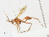  ( - CBG-A21613-D11)  @11 [ ] CreativeCommons - Attribution Share-Alike (2023) CBG Photography Group Centre for Biodiversity Genomics