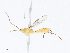  ( - CBG-A08796-E08)  @11 [ ] CreativeCommons - Attribution Share - Alike (2023) CBG Photography Group Centre for Biodiversity Genomics