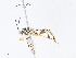  ( - CBG-A08796-F10)  @11 [ ] CreativeCommons - Attribution Share - Alike (2023) CBG Photography Group Centre for Biodiversity Genomics