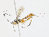  ( - CBG-A13225-C03)  @11 [ ] CreativeCommons - Attribution Share - Alike (2023) CBG Photography Group Centre for Biodiversity Genomics