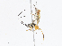  ( - CBG-A13226-A05)  @11 [ ] CreativeCommons - Attribution Share - Alike (2023) CBG Photography Group Centre for Biodiversity Genomics