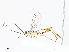  ( - CBG-A13226-A08)  @11 [ ] CreativeCommons - Attribution Share - Alike (2023) CBG Photography Group Centre for Biodiversity Genomics