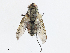  ( - CBG-A13226-C01)  @11 [ ] CreativeCommons - Attribution Share - Alike (2023) CBG Photography Group Centre for Biodiversity Genomics