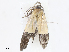  ( - CBG-A13226-D05)  @11 [ ] CreativeCommons - Attribution Share - Alike (2023) CBG Photography Group Centre for Biodiversity Genomics