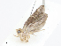  ( - CBG-A13226-E11)  @11 [ ] CreativeCommons - Attribution Share - Alike (2023) CBG Photography Group Centre for Biodiversity Genomics