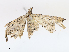  ( - CBG-A13233-G05)  @11 [ ] CreativeCommons - Attribution Share - Alike (2023) CBG Photography Group Centre for Biodiversity Genomics