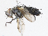  ( - CBG-A13234-B03)  @11 [ ] CreativeCommons - Attribution Share - Alike (2023) CBG Photography Group Centre for Biodiversity Genomics