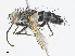 ( - CBG-A13234-B04)  @11 [ ] CreativeCommons - Attribution Share - Alike (2023) CBG Photography Group Centre for Biodiversity Genomics