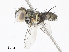  ( - CBG-A13234-B11)  @11 [ ] CreativeCommons - Attribution Share - Alike (2023) CBG Photography Group Centre for Biodiversity Genomics