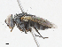  ( - CBG-A13236-E07)  @11 [ ] CreativeCommons - Attribution Share - Alike (2023) CBG Photography Group Centre for Biodiversity Genomics