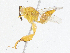  ( - CBG-A13237-B01)  @11 [ ] CreativeCommons - Attribution Share - Alike (2023) CBG Photography Group Centre for Biodiversity Genomics