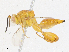  ( - CBG-A13237-B02)  @11 [ ] CreativeCommons - Attribution Share - Alike (2023) CBG Photography Group Centre for Biodiversity Genomics