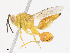  ( - CBG-A13237-B03)  @11 [ ] CreativeCommons - Attribution Share - Alike (2023) CBG Photography Group Centre for Biodiversity Genomics