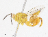  (chalMalaise7442 - CBG-A13237-B04)  @11 [ ] CreativeCommons - Attribution Share - Alike (2023) CBG Photography Group Centre for Biodiversity Genomics