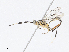  ( - CBG-A13238-C09)  @11 [ ] CreativeCommons - Attribution Share - Alike (2023) CBG Photography Group Centre for Biodiversity Genomics